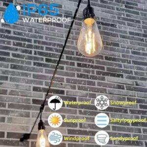 Outdoor String Lights, Electric Plug-In Festoon Lights 10 Meter 20 LED Bulbs, Outdoor Waterproof Decorative Hanging Light String for Patio Garden Porch Yard (10M with ST64 Clear) - Image 3