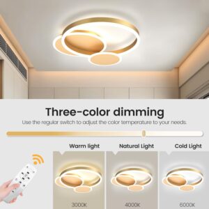 LED Modern Round Ring Ceiling Light, Flush Mount Decorative Bright Ceiling for Living Room and Bedroom, with Remote ControlDimmable and Adjustable 3-Color Temperature - Image 3