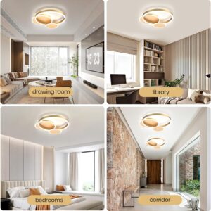 LED Modern Round Ring Ceiling Light, Flush Mount Decorative Bright Ceiling for Living Room and Bedroom, with Remote ControlDimmable and Adjustable 3-Color Temperature - Image 7