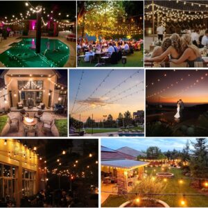 Outdoor String Lights, Electric Plug-In Festoon Lights 10 Meter 20 LED Bulbs, Outdoor Waterproof Decorative Hanging Light String for Patio Garden Porch Yard (10M with A60 Clear) - Image 5
